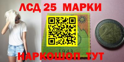 прущие грибы Балашиха